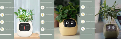 Smart Planter Endless Fun Over 49 Rich Expressions 7 Smart Sensors And AI Chips Make Raising Plants Easy And Fun EZeeget online shop