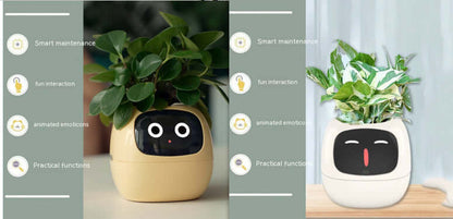 Smart Planter Endless Fun Over 49 Rich Expressions 7 Smart Sensors And AI Chips Make Raising Plants Easy And Fun EZeeget online shop