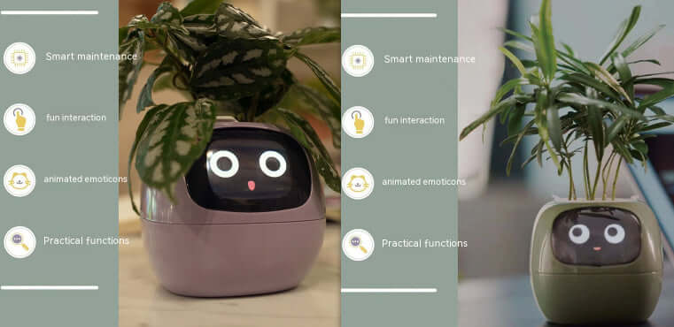 Smart Planter Endless Fun Over 49 Rich Expressions 7 Smart Sensors And AI Chips Make Raising Plants Easy And Fun EZeeget online shop