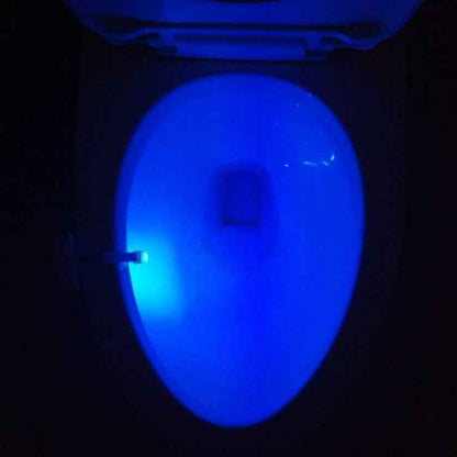 Toilet Induction LED Night Light - EZEEGET