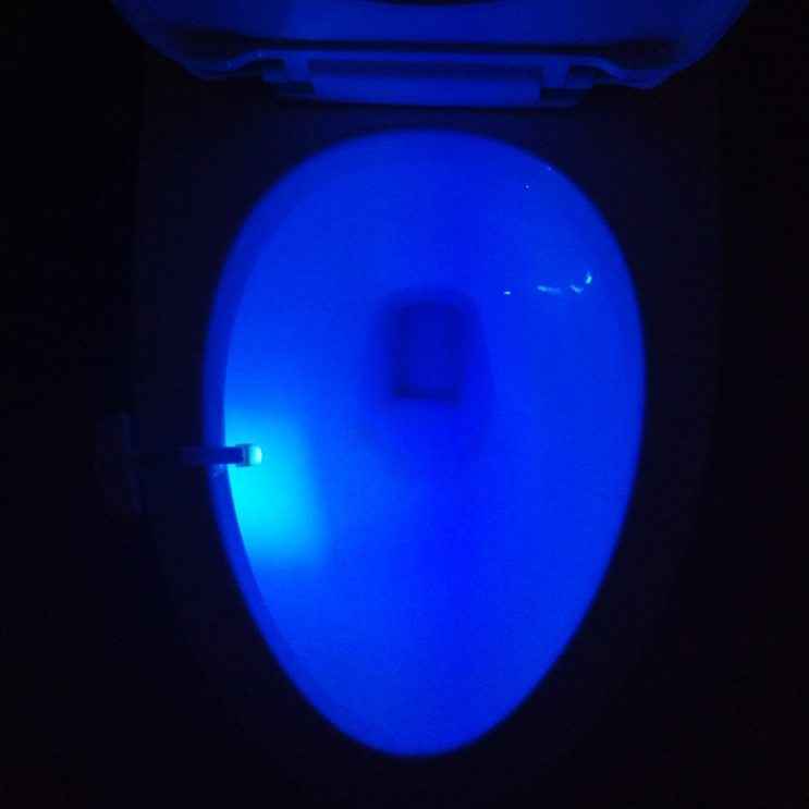 Toilet Induction LED Night Light - EZEEGET