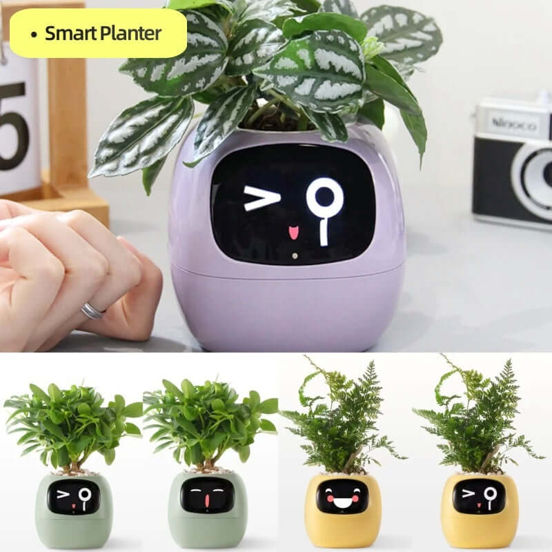 Smart Planter Endless Fun Over 49 Rich Expressions 7 Smart Sensors And AI Chips Make Raising Plants Easy And Fun EZeeget online shop