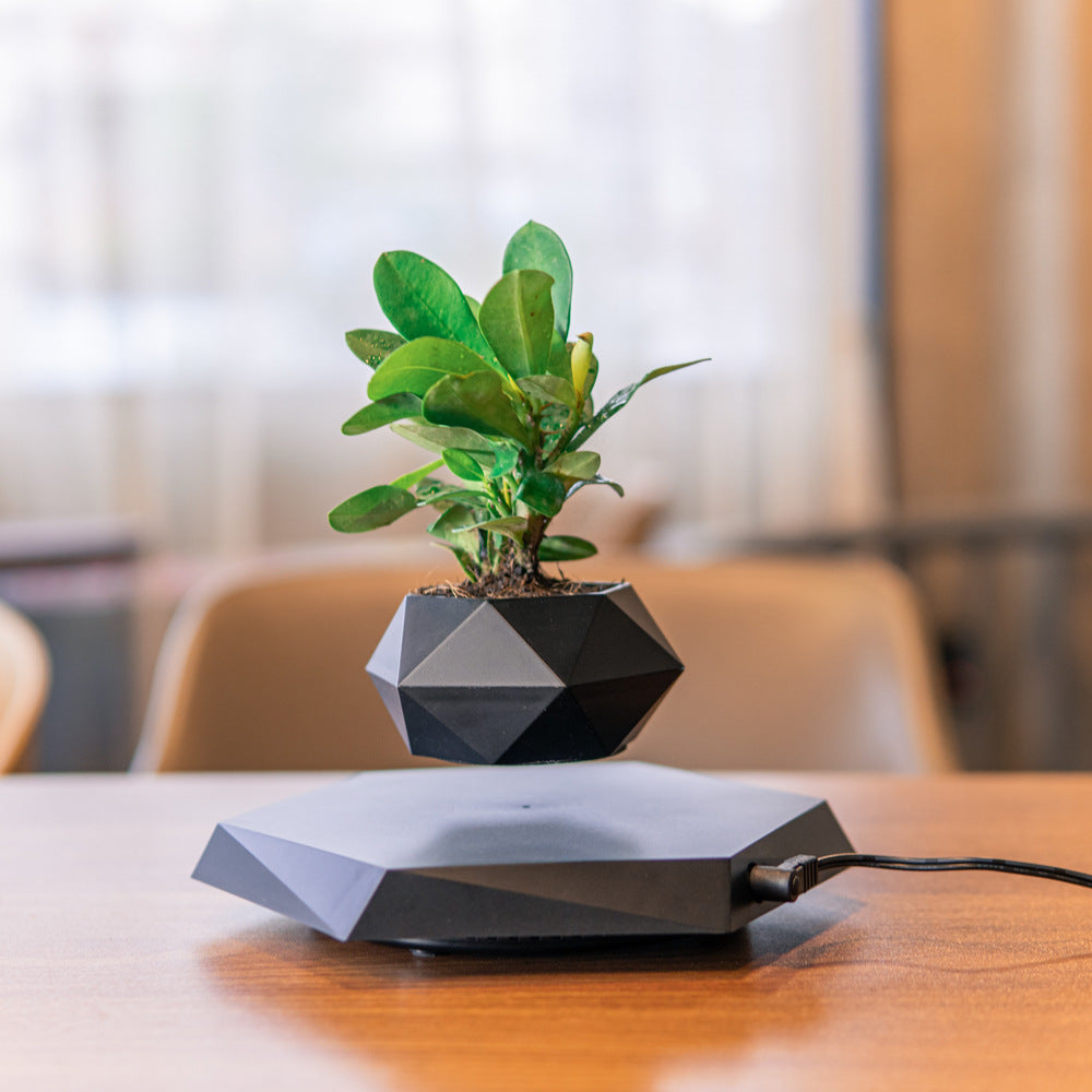 Floating Magnetic Levitating Flower Pot Bonsai Air Plant Pot Planter Potted For Home Office Desk Decor Creative Gift - EZeeget online shop 