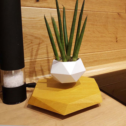 Floating Magnetic Levitating Flower Pot Bonsai Air Plant Pot Planter Potted For Home Office Desk Decor Creative Gift - EZeeget online shop 