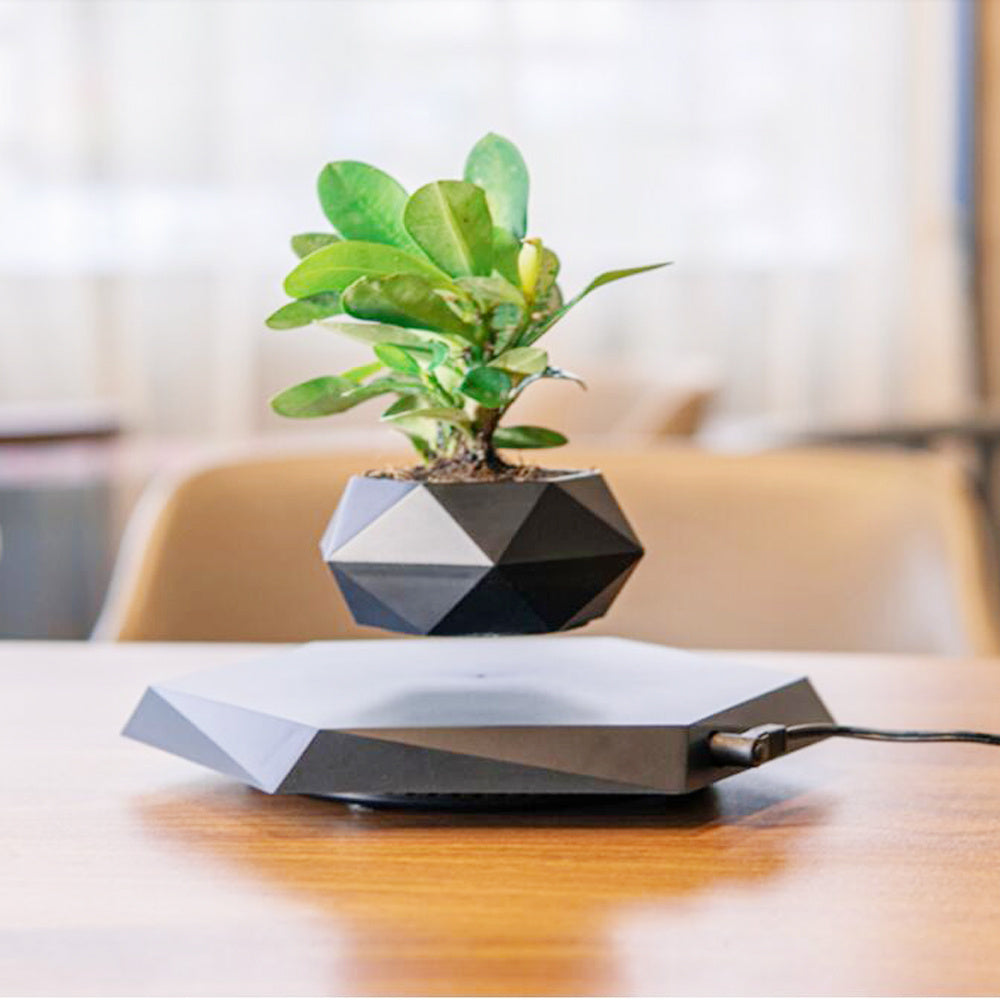 Floating Magnetic Levitating Flower Pot Bonsai Air Plant Pot Planter Potted For Home Office Desk Decor Creative Gift - EZeeget online shop 