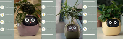 Smart Planter Endless Fun Over 49 Rich Expressions 7 Smart Sensors And AI Chips Make Raising Plants Easy And Fun EZeeget online shop