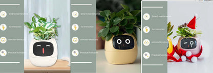 Smart Planter Endless Fun Over 49 Rich Expressions 7 Smart Sensors And AI Chips Make Raising Plants Easy And Fun EZeeget online shop