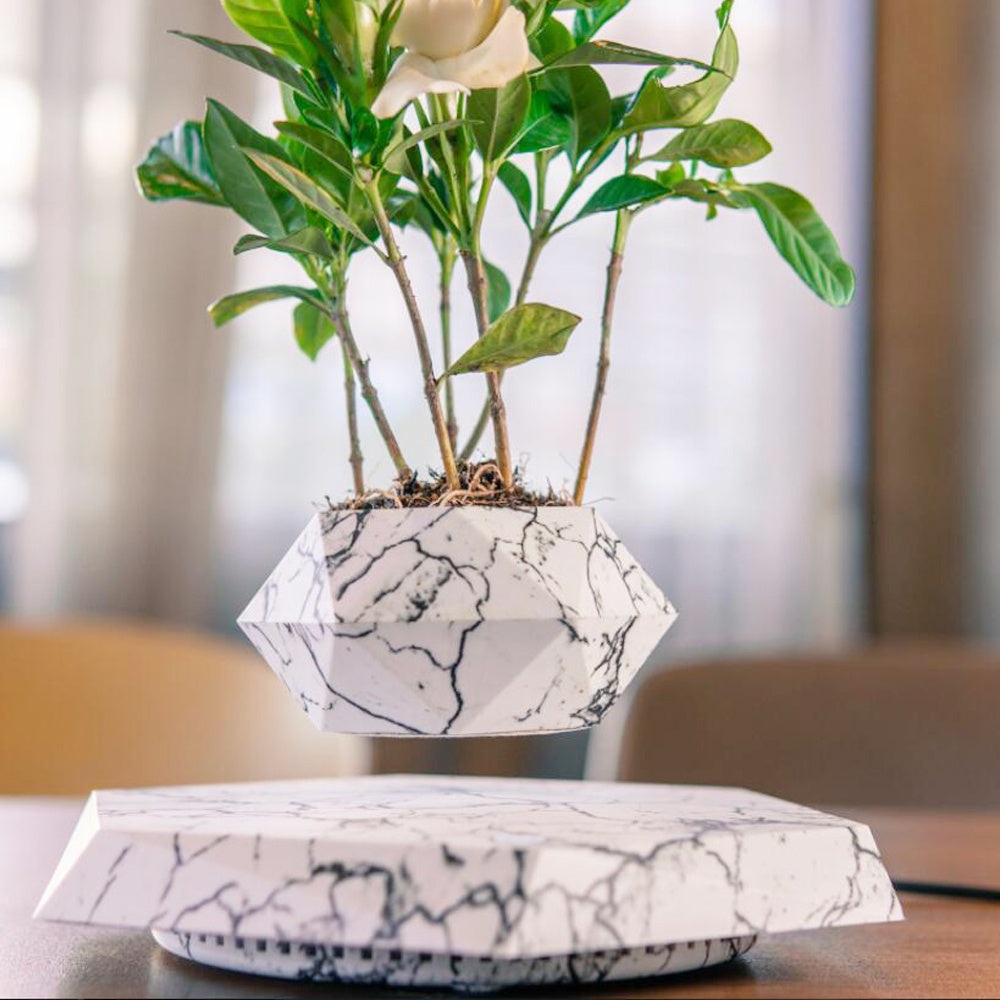 Floating Magnetic Levitating Flower Pot Bonsai Air Plant Pot Planter Potted For Home Office Desk Decor Creative Gift - EZeeget online shop 