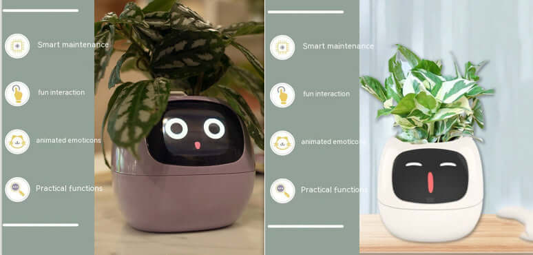 Smart Planter Endless Fun Over 49 Rich Expressions 7 Smart Sensors And AI Chips Make Raising Plants Easy And Fun EZeeget online shop