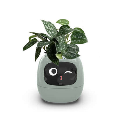 Smart Planter Endless Fun Over 49 Rich Expressions 7 Smart Sensors And AI Chips Make Raising Plants Easy And Fun EZeeget online shop